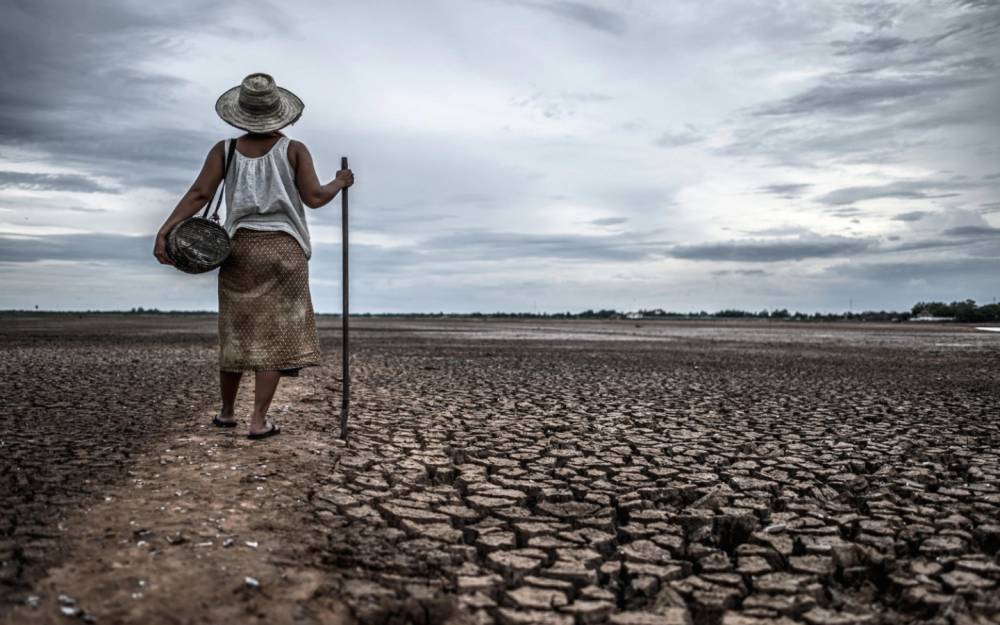 Juristas Especializados en Derecho Público Abordan Problemática Ambiental